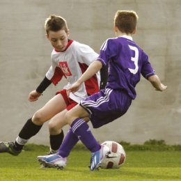 Nemzetközi torna Felcsúton